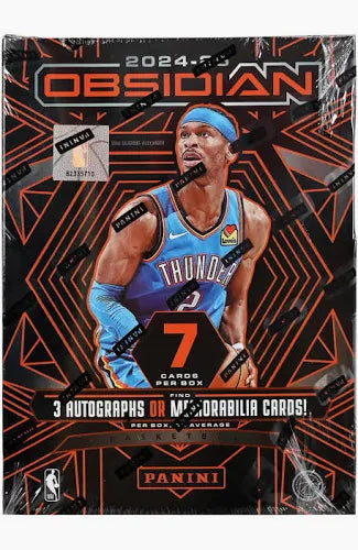 2024/25 Panini Obsidian Basketball Hobby Box